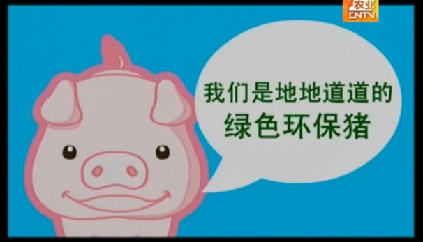 發酵床養豬視頻---養出綠色環保健康豬